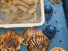 -添福来墨鱼饺子 · 海鲜东北菜(大连星海·黄浦路店)