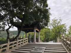 -长广溪湿地公园