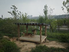 -太原动物园