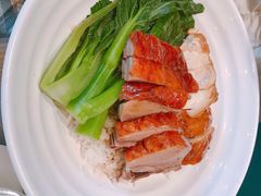 油鸡烧鸭饭-香港新曜记茶餐厅(万泰城店)