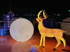 -梧桐餐厅(泉城路店)