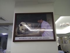 -动物缘宠物医院·骨科·猫科(西二环店)
