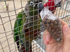 -南宫五洲植物乐园