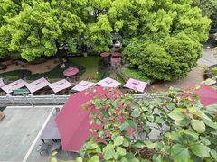 -杭州香格里拉·香宫中餐厅
