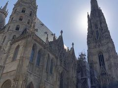 -斯蒂芬主教座堂(Stephansdom)
