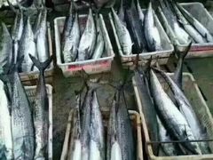 -青岛沙子口国家中心渔港