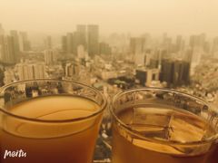 -339旋转餐厅(天府熊猫塔店)