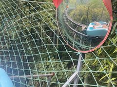 -藏龙百瀑风景区