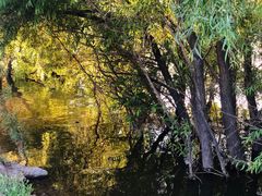 -长白岛森林公园