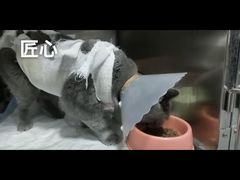 -拜鲁耶动物诊疗中心·宠家动物医院