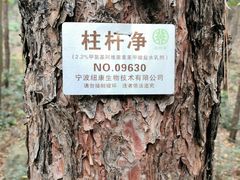 -永康小长城