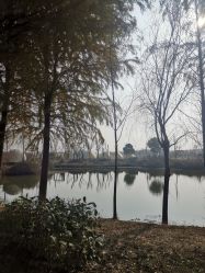 -水八仙生态园