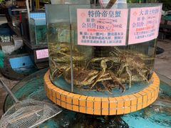 -荔城生鲜盛宴(番禺旗舰店)