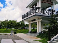 -王借岗森林公园