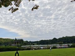 -宜兴龙背山森林公园