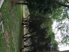-汉水公园