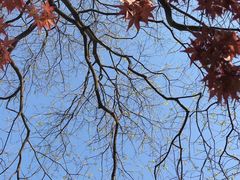 -白塘生态植物园