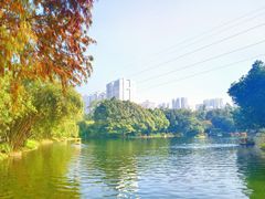 -晓港公园