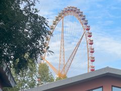 -石家庄市动物园