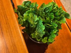 -乡土黄·鲜牛肉火锅·小龙虾(兴业街店)