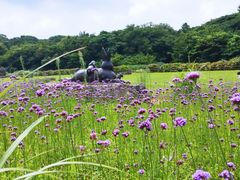 -济州森林小火车生态公园
