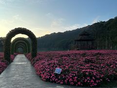 -广州市石门国家森林公园