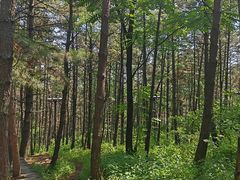 -帽儿山国家森林公园