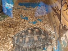 -泉城欧乐堡海洋极地世界