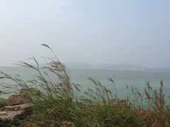 -上海市保健医疗中心(华东疗养院)