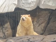 -海合安武汉极地海洋公园