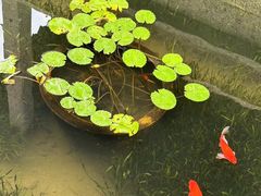 -兰亭风景区