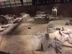 -洛阳周王城天子驾六博物馆