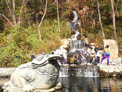 -大连天门山国家森林公园