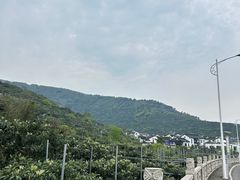 -东山风景区(洞庭东山)