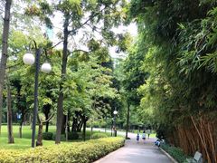 -晓港公园