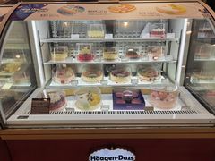 -哈根达斯(石家庄北国店)