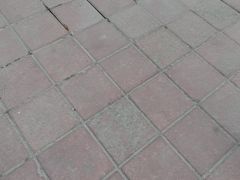 -海门爱心宠物医院