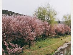 -石塘人家