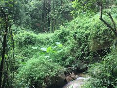 -火炉山森林公园