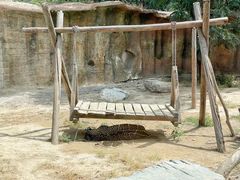 -北京野生动物园