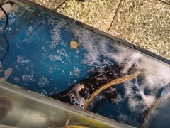 -粗粮人家·东北菜(洋桥店)