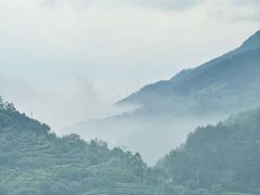 -杨家堂村