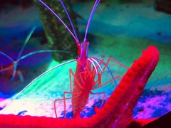 -沈阳海洋探索中心