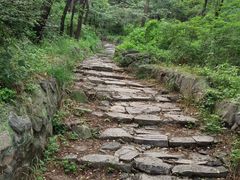 -阳台山自然风景区