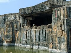 -海南热带野生动植物园