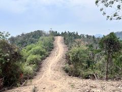-青龙山国家森林公园