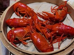 -杨氏青龙虾·羊蝎子(托乐嘉店)