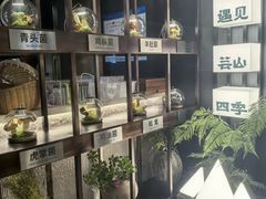 -芸山季·云南山珍菌火锅(人民广场来福士店)