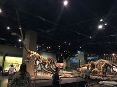 -天津自然博物馆
