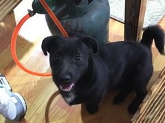 -又见炊烟．纳西小院云南菜